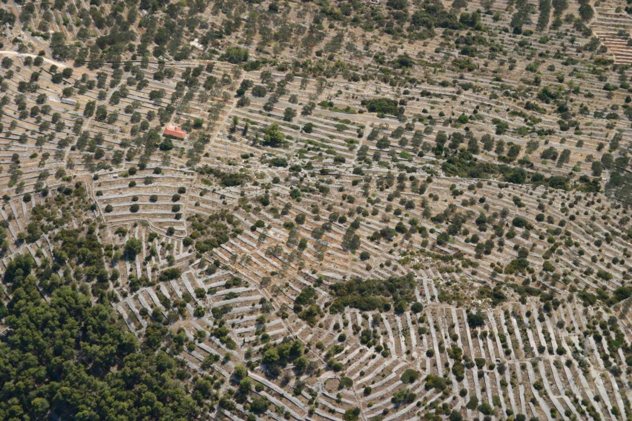فيلا Stone House San Pelegrin فيلا لوكا المظهر الخارجي الصورة