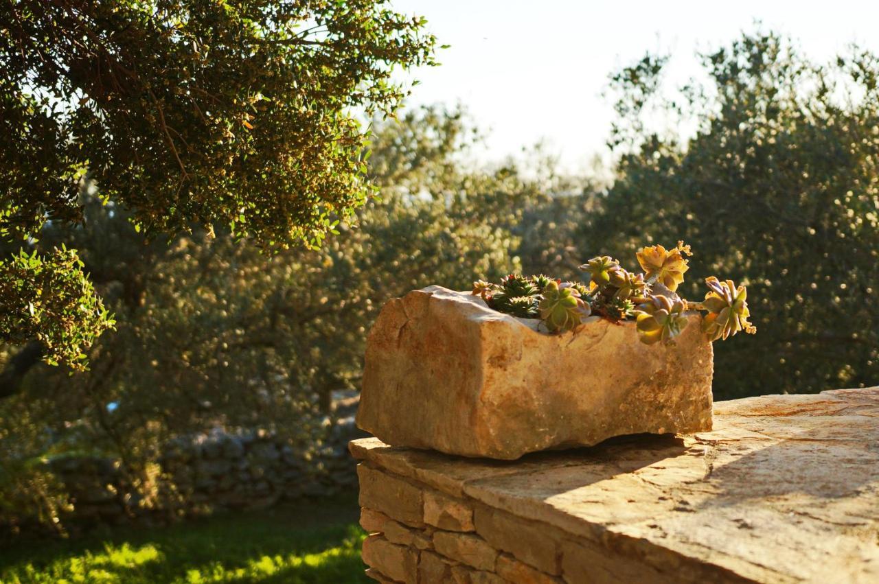 فيلا Stone House San Pelegrin فيلا لوكا المظهر الخارجي الصورة